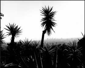 Photograph by Bruce Davidson